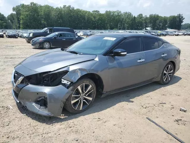 2020 Nissan Maxima SL