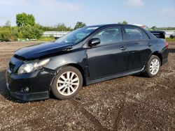 Salvage cars for sale at Columbia Station, OH auction: 2010 Toyota Corolla Base