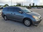 2010 Honda Odyssey EXL