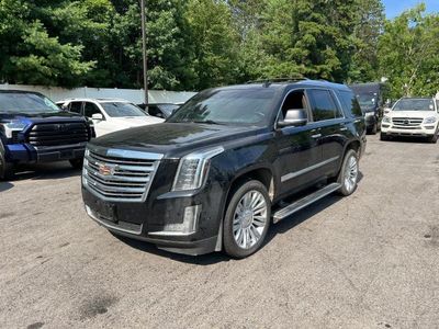 Cadillac salvage cars for sale: 2018 Cadillac Escalade Platinum