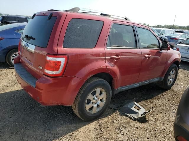 2011 Ford Escape Limited