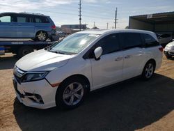 Salvage cars for sale at Colorado Springs, CO auction: 2020 Honda Odyssey EXL