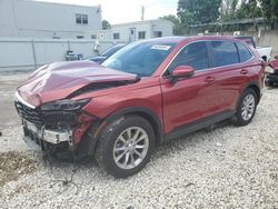 2024 Honda CR-V EXL en venta en Opa Locka, FL