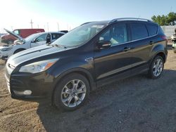 2014 Ford Escape Titanium en venta en Greenwood, NE