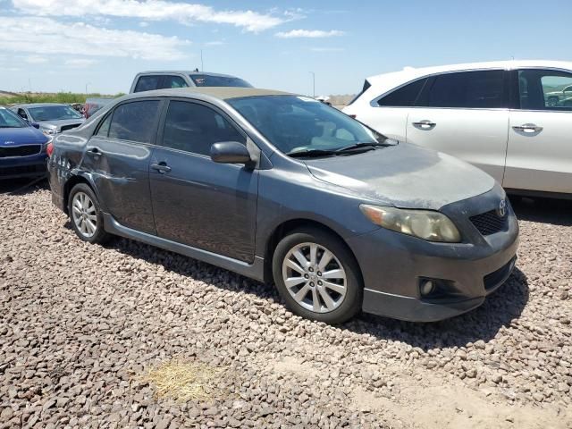 2010 Toyota Corolla Base