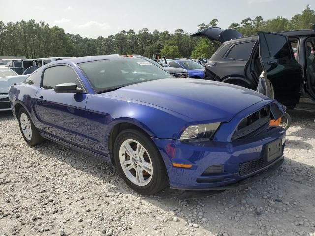 2013 Ford Mustang