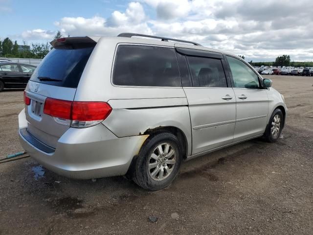 2008 Honda Odyssey EXL