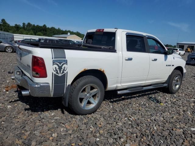 2010 Dodge RAM 1500