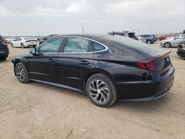 2021 Hyundai Sonata Hybrid