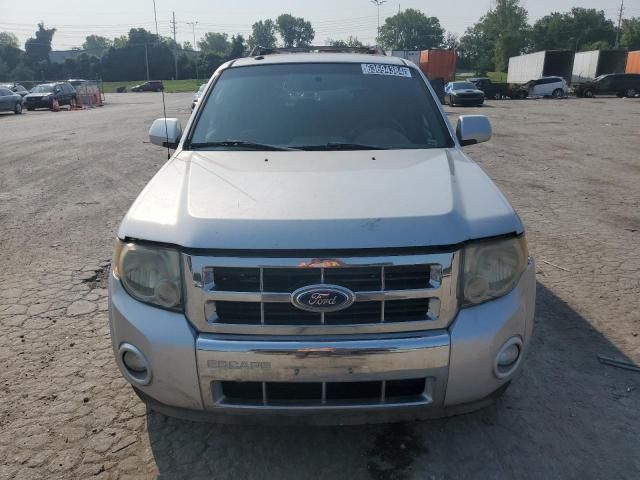 2010 Ford Escape Limited