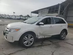 Salvage cars for sale at Corpus Christi, TX auction: 2014 Ford Edge Limited