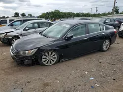 Honda Accord exl salvage cars for sale: 2014 Honda Accord EXL