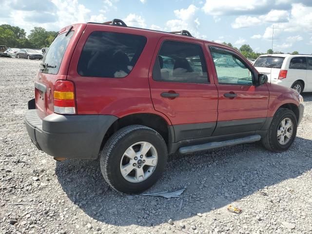 2006 Ford Escape XLT