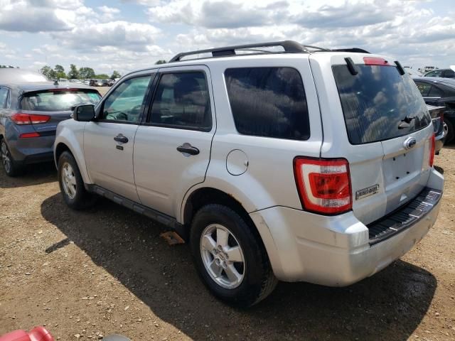 2012 Ford Escape XLT