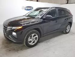 Salvage cars for sale at Jacksonville, FL auction: 2024 Hyundai Tucson SEL