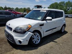 Salvage cars for sale from Copart Windsor, NJ: 2013 KIA Soul +