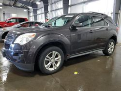 Salvage cars for sale at Ham Lake, MN auction: 2013 Chevrolet Equinox LT