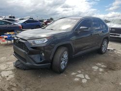 Salvage cars for sale at Indianapolis, IN auction: 2019 Toyota Rav4 XLE Premium