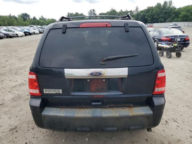 2010 Ford Escape Limited