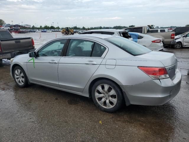 2010 Honda Accord EXL