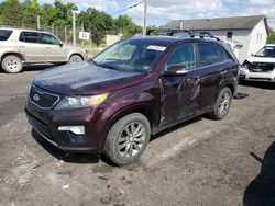 Salvage cars for sale at York Haven, PA auction: 2013 KIA Sorento SX