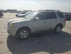 Salvage cars for sale at Grand Prairie, TX auction: 2008 Ford Escape Limited