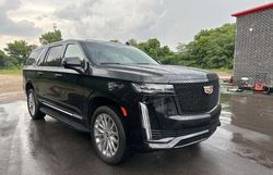 Cadillac Vehiculos salvage en venta: 2022 Cadillac Escalade ESV Premium Luxury