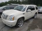 2009 Cadillac Escalade Luxury