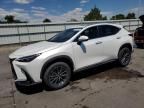 2024 Lexus NX 350H Base