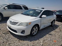 Toyota salvage cars for sale: 2013 Toyota Corolla Base