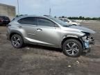 2021 Lexus NX 300H Base