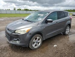 Ford salvage cars for sale: 2014 Ford Escape SE