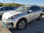 2019 KIA Niro EX