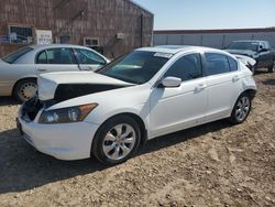 Honda salvage cars for sale: 2008 Honda Accord EXL