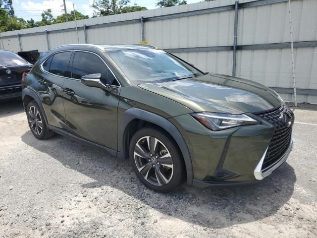 2019 Lexus UX 200