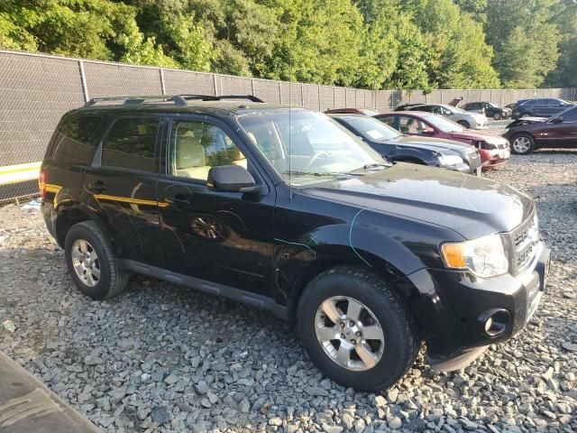 2012 Ford Escape Limited