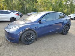 Salvage cars for sale at Cookstown, ON auction: 2021 Tesla Model Y