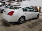 2005 Nissan Maxima SE