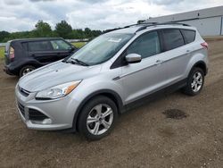 Salvage cars for sale at Columbia Station, OH auction: 2014 Ford Escape SE