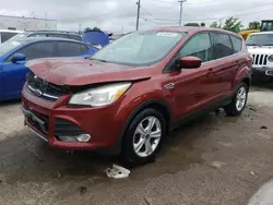 Salvage trucks for sale at Chicago Heights, IL auction: 2014 Ford Escape SE