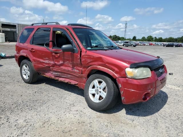 2007 Ford Escape HEV