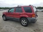 2007 Ford Escape XLT