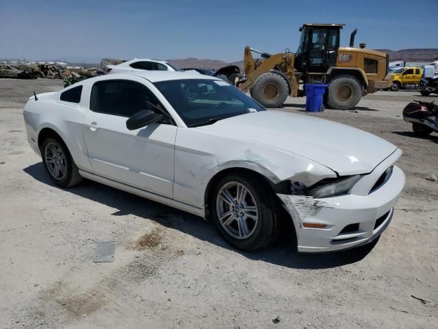 2013 Ford Mustang