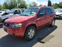 Ford Vehiculos salvage en venta: 2006 Ford Escape Limited