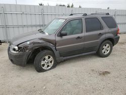 4 X 4 for sale at auction: 2006 Ford Escape XLT