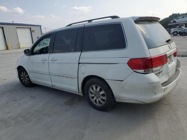 2010 Honda Odyssey EXL