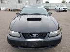 2002 Ford Mustang