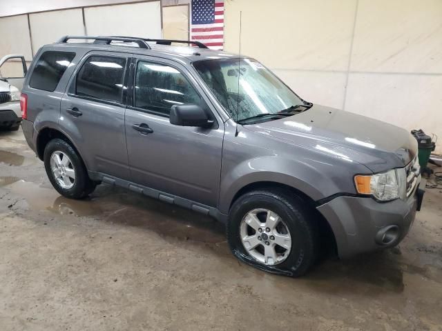 2009 Ford Escape XLT