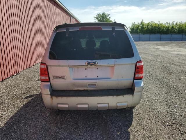 2010 Ford Escape XLT