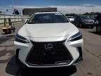 2024 Lexus NX 350H Base